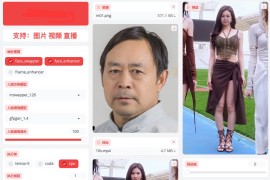 单图换脸FaceFusion2.2.1解压即用N卡整合版